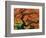 Japanese Maple in Full Fall Color, Portland Japanese Garden, Portland, Oregon, USA-Michel Hersen-Framed Photographic Print