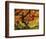 Japanese Maple in Full Fall Color, Portland Japanese Garden, Portland, Oregon, USA-Michel Hersen-Framed Photographic Print