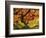 Japanese Maple in Full Fall Color, Portland Japanese Garden, Portland, Oregon, USA-Michel Hersen-Framed Photographic Print