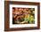 Japanese Maple in the Japanese Gardens in Portland, Oregon-pdb1-Framed Photographic Print