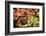 Japanese Maple in the Japanese Gardens in Portland, Oregon-pdb1-Framed Photographic Print