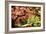 Japanese Maple in the Japanese Gardens in Portland, Oregon-pdb1-Framed Photographic Print