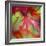 Japanese Maple Leaves-Clive Nichols-Framed Photographic Print