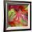 Japanese Maple Leaves-Clive Nichols-Framed Photographic Print