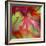 Japanese Maple Leaves-Clive Nichols-Framed Photographic Print