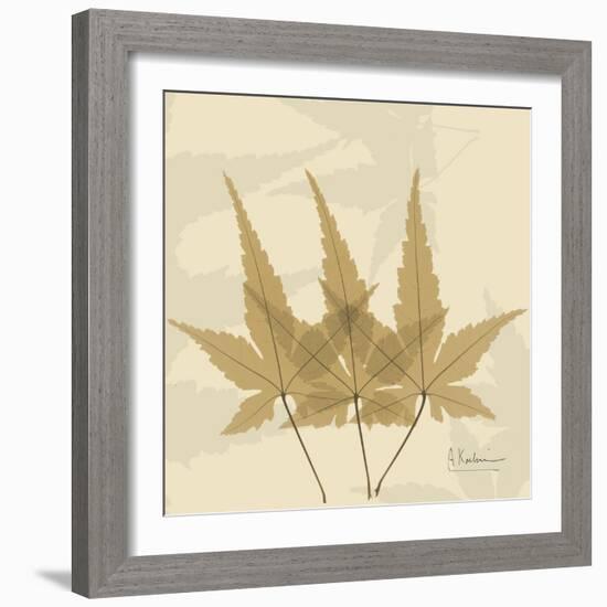 Japanese Maple Moments 3-Albert Koetsier-Framed Art Print