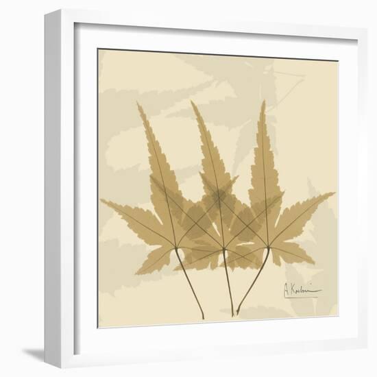 Japanese Maple Moments 3-Albert Koetsier-Framed Art Print