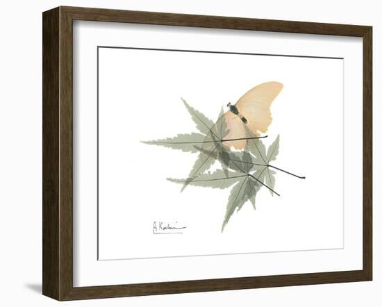 Japanese Maple Nature-Albert Koetsier-Framed Premium Giclee Print