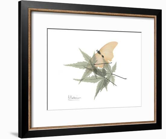 Japanese Maple Nature-Albert Koetsier-Framed Premium Giclee Print