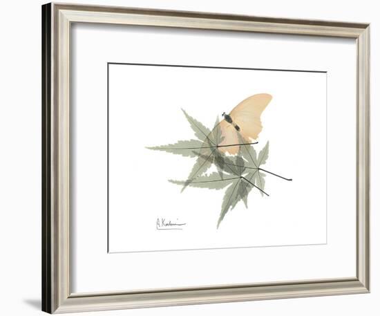 Japanese Maple Nature-Albert Koetsier-Framed Premium Giclee Print