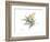 Japanese Maple Nature-Albert Koetsier-Framed Premium Giclee Print