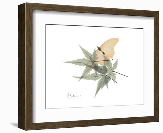 Japanese Maple Nature-Albert Koetsier-Framed Premium Giclee Print