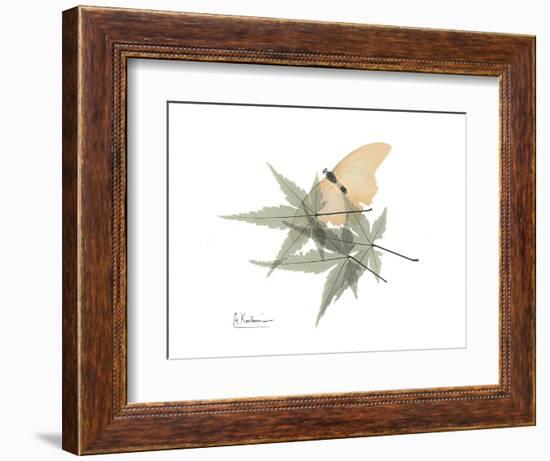 Japanese Maple Nature-Albert Koetsier-Framed Premium Giclee Print