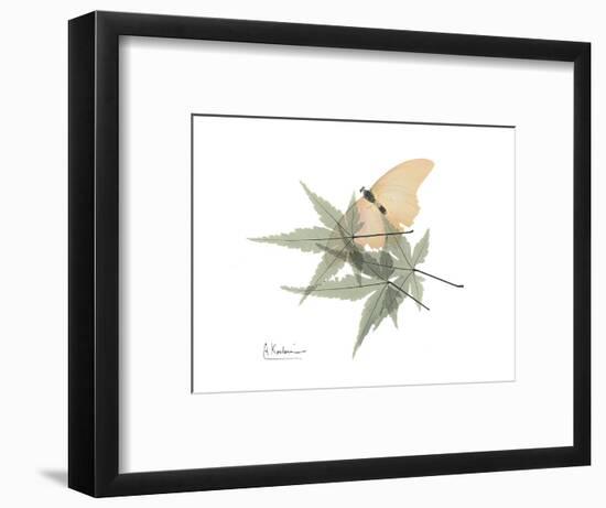 Japanese Maple Nature-Albert Koetsier-Framed Premium Giclee Print