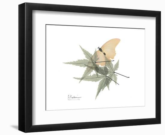 Japanese Maple Nature-Albert Koetsier-Framed Premium Giclee Print