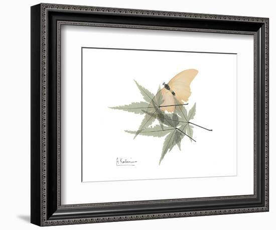 Japanese Maple Nature-Albert Koetsier-Framed Premium Giclee Print