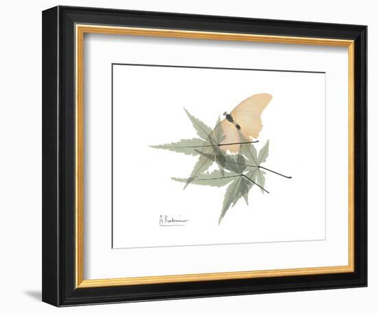 Japanese Maple Nature-Albert Koetsier-Framed Premium Giclee Print