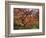 Japanese Maple, Portland Japanese Garden, Oregon, USA-William Sutton-Framed Photographic Print