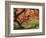 Japanese Maple, Portland Japanese Garden, Oregon, USA-William Sutton-Framed Photographic Print