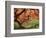 Japanese Maple, Portland Japanese Garden, Oregon, USA-William Sutton-Framed Photographic Print