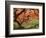 Japanese Maple, Portland Japanese Garden, Oregon, USA-William Sutton-Framed Photographic Print