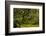 Japanese Maple, Portland Japanese Garden, Portland, Oregon (PR)-Michel Hersen-Framed Photographic Print