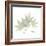 Japanese Maple Portrait 2-Albert Koetsier-Framed Premium Giclee Print