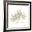 Japanese Maple Portrait 2-Albert Koetsier-Framed Premium Giclee Print