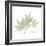 Japanese Maple Portrait 2-Albert Koetsier-Framed Premium Giclee Print