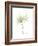 Japanese Maple Portrait-Albert Koetsier-Framed Premium Giclee Print