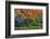 Japanese Maple Tree in Autumn, Japanese Gardens, Portland, Oregon-Chuck Haney-Framed Photographic Print