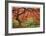 Japanese Maple Tree-Donald Paulson-Framed Giclee Print