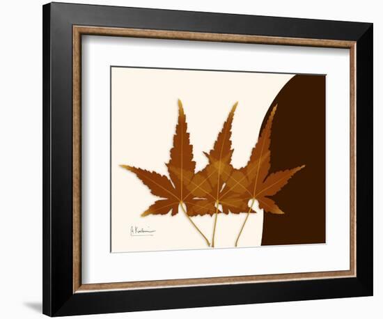 Japanese Maple Triplets-Albert Koetsier-Framed Art Print