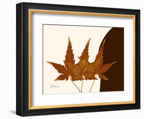 Japanese Maple Triplets-Albert Koetsier-Framed Art Print