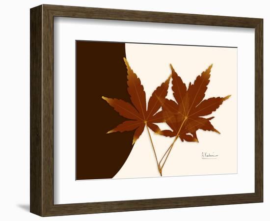 Japanese Maple Twins-Albert Koetsier-Framed Premium Giclee Print