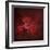 Japanese Maple-Jai Johnson-Framed Giclee Print