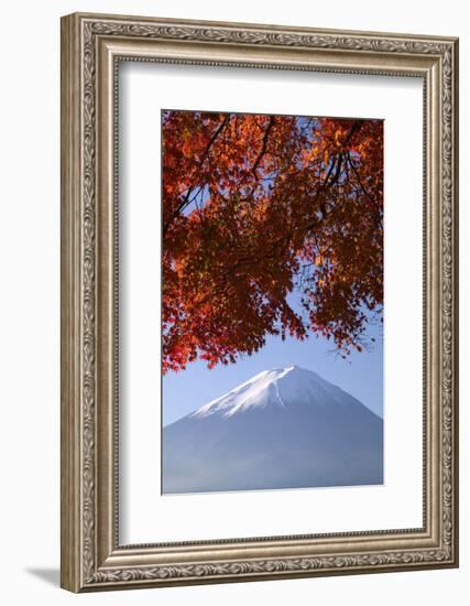 Japanese Maples and Mount Fuji, Fuji-Hakone-Izu National Park, Honshu, Japan-Art Wolfe-Framed Photographic Print