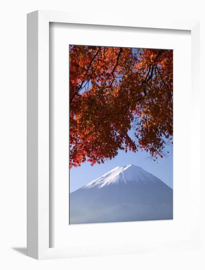 Japanese Maples and Mount Fuji, Fuji-Hakone-Izu National Park, Honshu, Japan-Art Wolfe-Framed Photographic Print