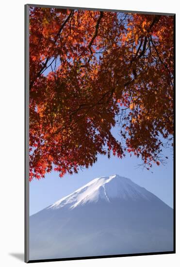 Japanese Maples and Mount Fuji, Fuji-Hakone-Izu National Park, Honshu, Japan-Art Wolfe-Mounted Photographic Print