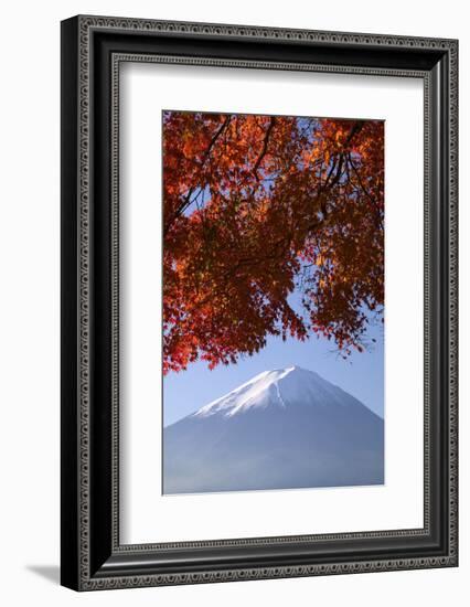 Japanese Maples and Mount Fuji, Fuji-Hakone-Izu National Park, Honshu, Japan-Art Wolfe-Framed Photographic Print