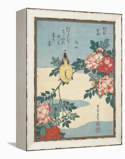 Japanese Nightingale and Spray of Roses, C. 1832-Katsushika Hokusai-Framed Premier Image Canvas