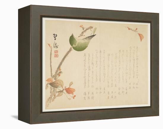 Japanese Nightingale Perched on a Branch-Suit?-Framed Premier Image Canvas