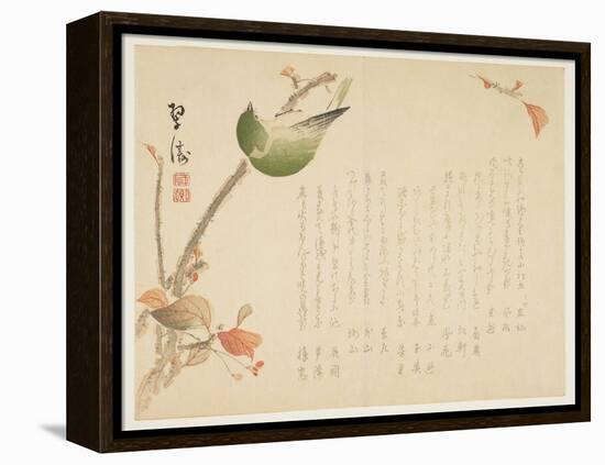 Japanese Nightingale Perched on a Branch-Suit?-Framed Premier Image Canvas