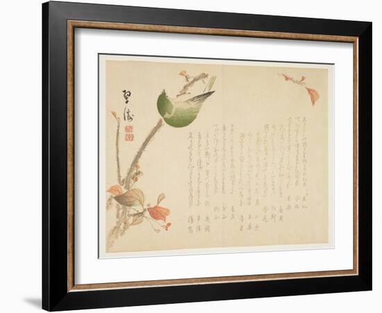 Japanese Nightingale Perched on a Branch-Suit?-Framed Giclee Print