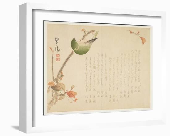 Japanese Nightingale Perched on a Branch-Suit?-Framed Giclee Print