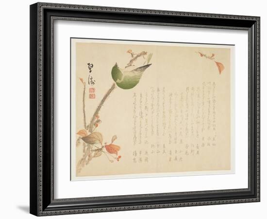 Japanese Nightingale Perched on a Branch-Suit?-Framed Giclee Print