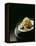 Japanese Noodle Soup (Miso Udon) with Fried Ginger-Frank Wieder-Framed Premier Image Canvas