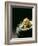 Japanese Noodle Soup (Miso Udon) with Fried Ginger-Frank Wieder-Framed Photographic Print