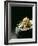 Japanese Noodle Soup (Miso Udon) with Fried Ginger-Frank Wieder-Framed Photographic Print