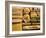 Japanese Noodles: Soba, Udon, Kishimen, Harusame, Ramen-Gerrit Buntrock-Framed Photographic Print